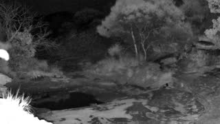 Still 3 from this detection