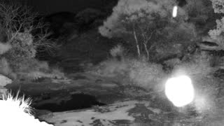 Still 1 from this detection