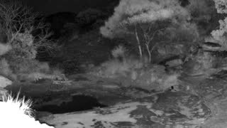 Still 1 from this detection