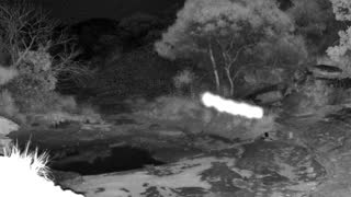 Still 1 from this detection