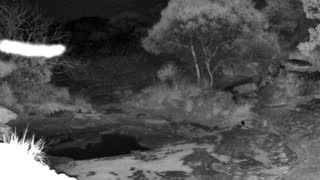 Still 2 from this detection