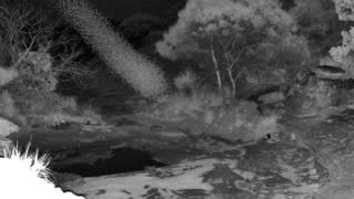 Still 2 from this detection