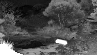 Still 3 from this detection
