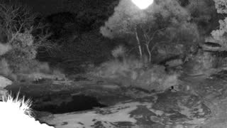 Still 2 from this detection