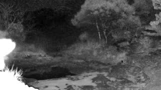 Still 1 from this detection