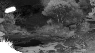 Still 2 from this detection
