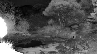 Still 3 from this detection