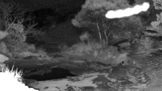 Still 2 from this detection