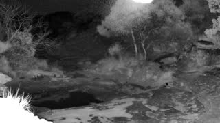 Still 1 from this detection