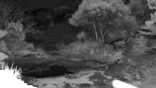 Still 1 from this detection