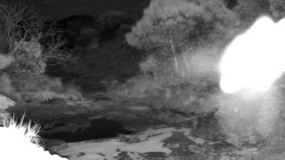 Still 2 from this detection