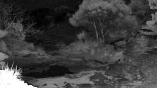 Still 3 from this detection