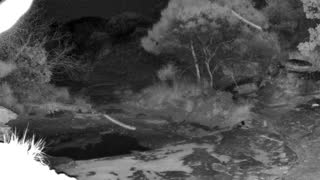 Still 1 from this detection