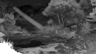 Still 1 from this detection