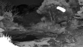 Still 2 from this detection