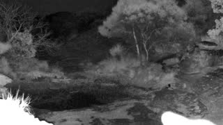 Still 1 from this detection