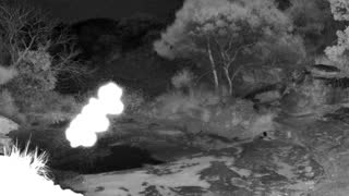 Still 2 from this detection