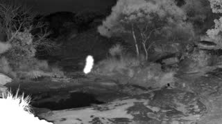 Still 1 from this detection