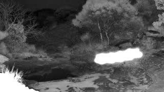 Still 1 from this detection