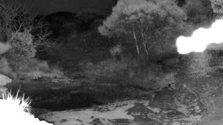 Still 3 from this detection