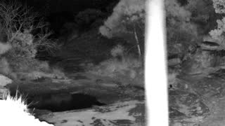 Still 1 from this detection