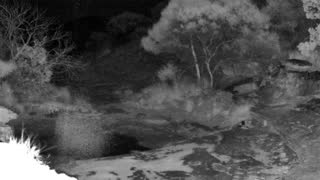 Still 1 from this detection