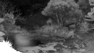 Still 1 from this detection