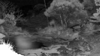 Still 2 from this detection