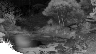 Still 3 from this detection