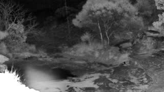 Still 2 from this detection