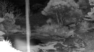 Still 2 from this detection