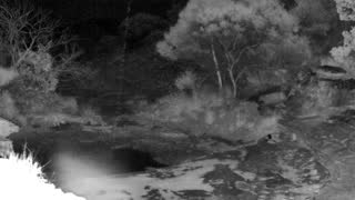 Still 2 from this detection