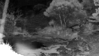 Still 3 from this detection
