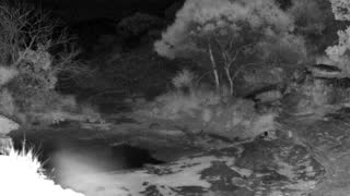 Still 3 from this detection