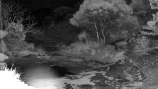 Still 2 from this detection