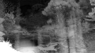 Still 3 from this detection