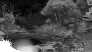 Still 1 from this detection