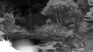 Still 1 from this detection