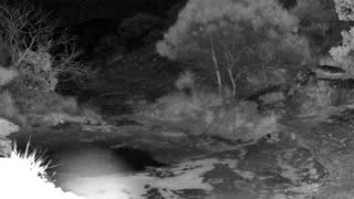 Still 1 from this detection