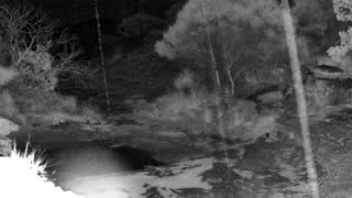 Still 3 from this detection