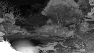 Still 1 from this detection