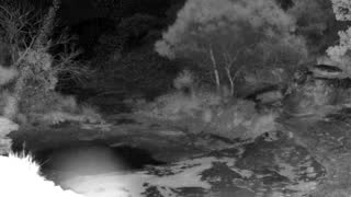 Still 2 from this detection