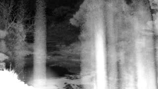 Still 3 from this detection