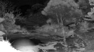 Still 1 from this detection