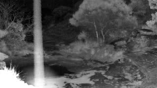Still 2 from this detection