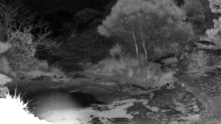 Still 3 from this detection