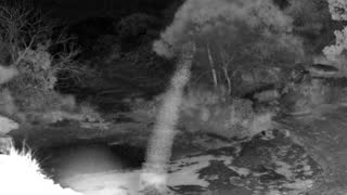 Still 2 from this detection