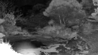 Still 3 from this detection
