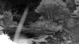 Still 2 from this detection