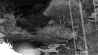 Still 3 from this detection